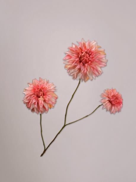 Silk-ka Dahlia Tak Zalm