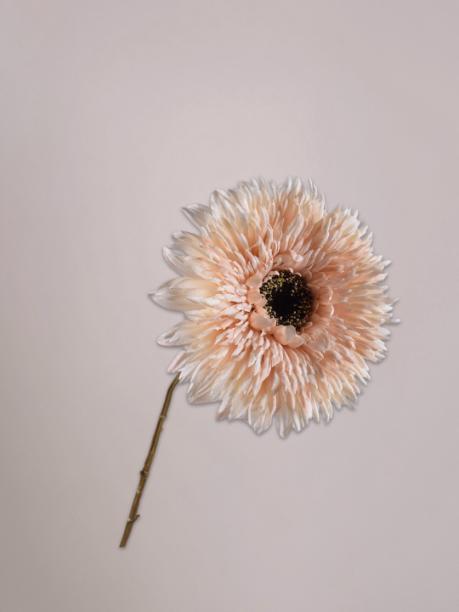 Silk-ka Gerbera Tak Creme