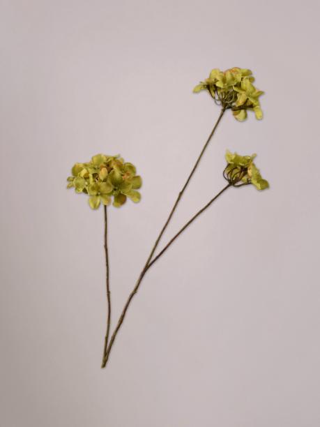 Silk-ka Hortensia Tak Groen