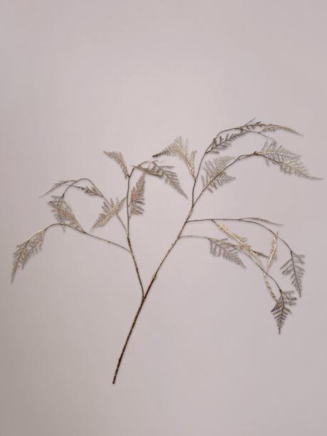 Silk-ka Varen Tak Goud