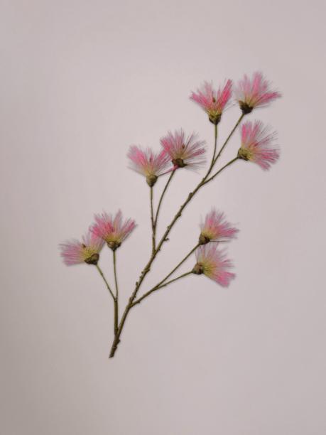 Silk-ka Perzische Zijdeboom Tak Roze