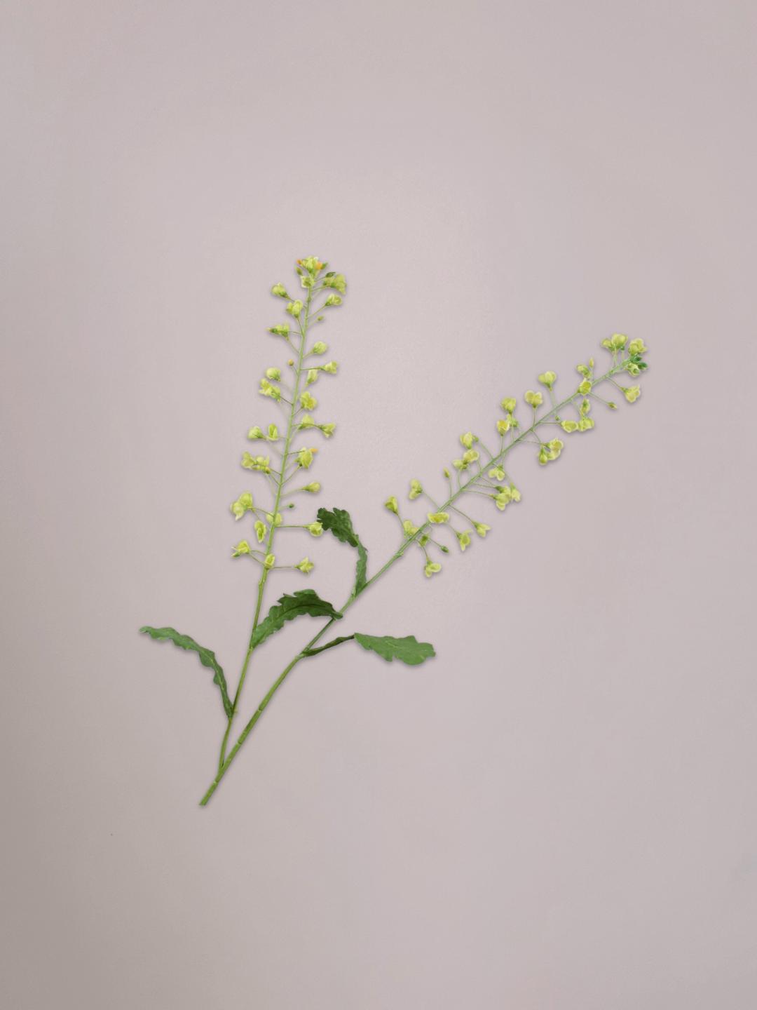 Groene Primula kunsttak van 85 cm van Silk-ka met verfijnde bloemetjes en natuurlijke uitstraling in een vaas