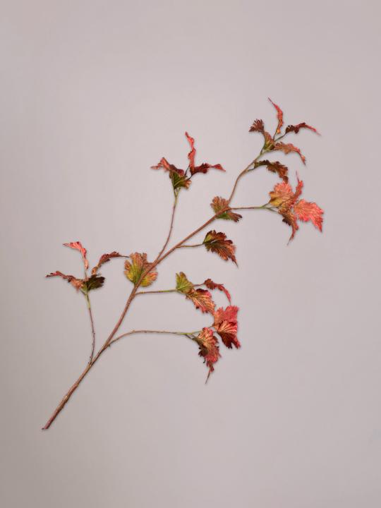 Silk-ka Bladtak Viburnum rood/groen van 124 cm als levensechte zijden kunsttak met bladeren in een hoge vaas.