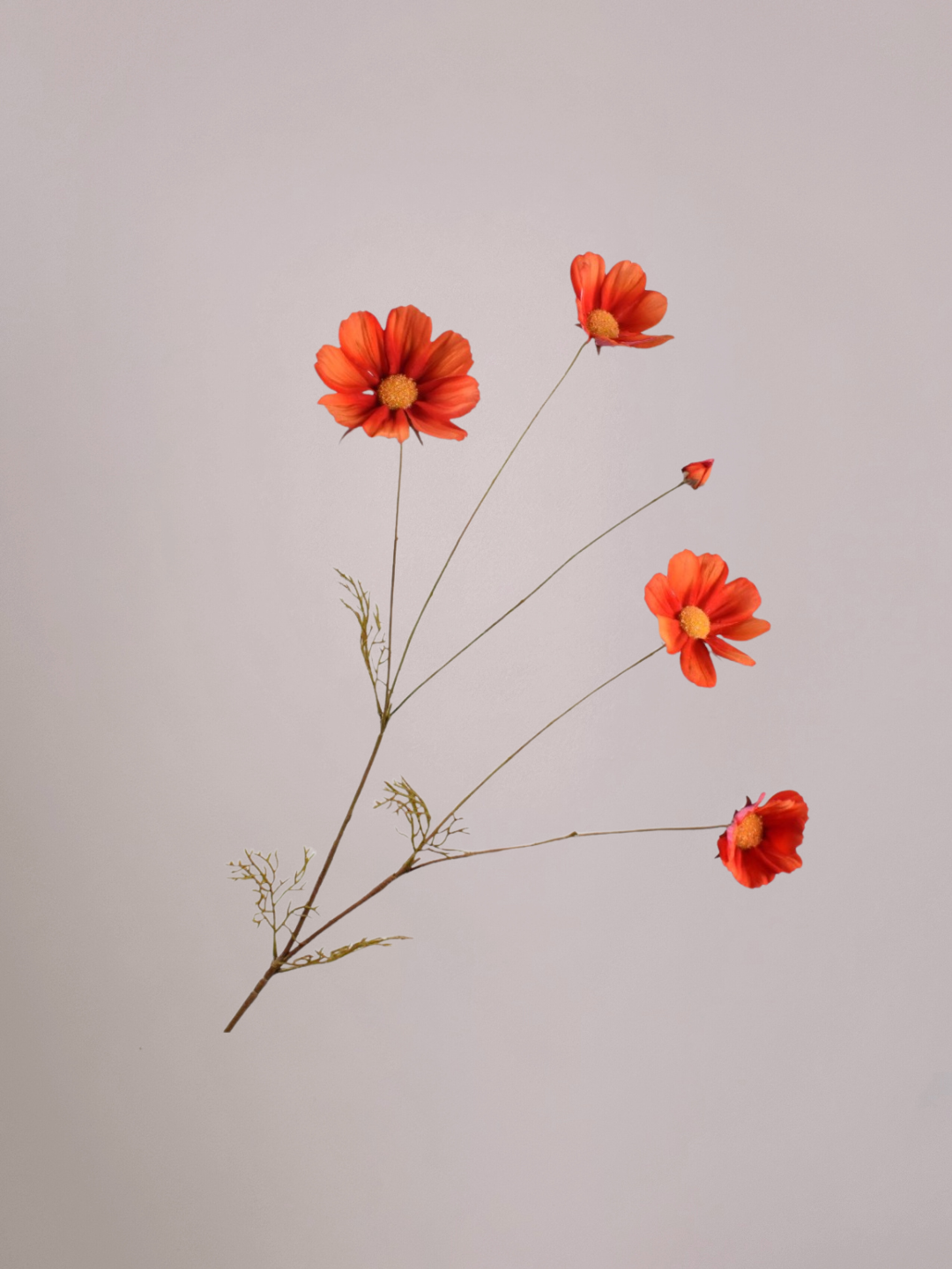 Silk-ka Kunsttak Cosmos Oranje 92 cm met fijne bloemetjes en subtiel blad, zijden bloemendecoratie