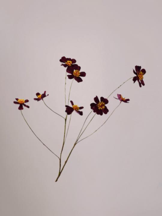 Silk-ka Cosmos tak paars 100 cm met elegante bloemen voor een stijlvol boeket of vaasdecoratie.
