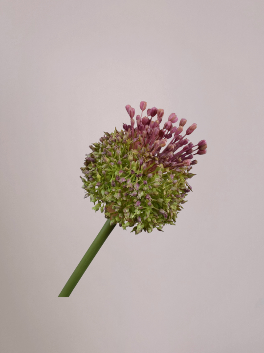 Silk‑ka distel steel lila 87 cm met delicate bloemkoppen en groene stelen