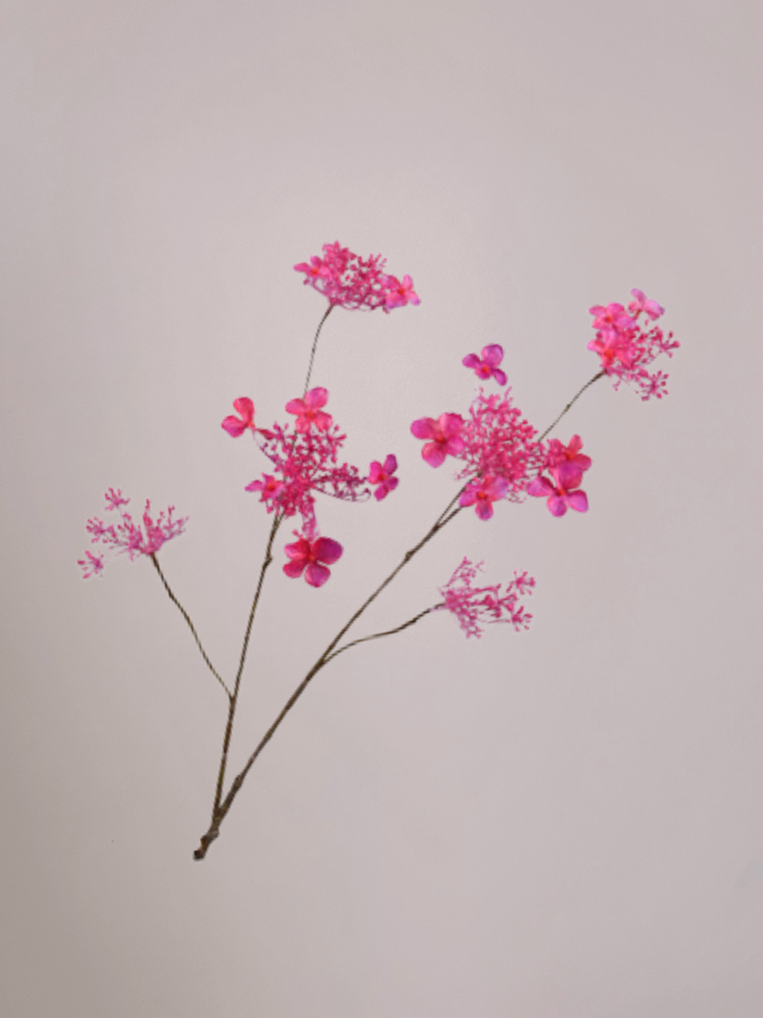 Silk-ka hortensia kunsttak Beauty 94 cm met volle bloem en lange steel in vaas