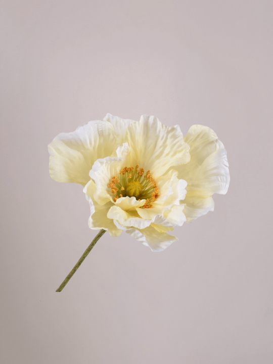 Kunst klaproos crème/lichtgeel 76 cm met realistische zijde bloemen