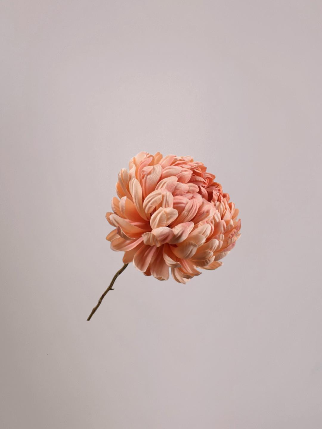 Levensechte Silk-ka chrysant roze kunstbloem van 76 cm in elegante zalmkleur, met volle bloemkop en stevige steel. Onderhoudsvrij en geselecteerd door Anja Bloementrends.