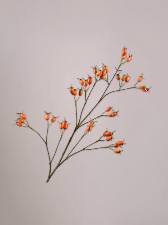 Silk-ka Rozenbottel Tak oranje van 96 cm als levensechte rozenbottel kunsttak van zijde in een hoge vaas.