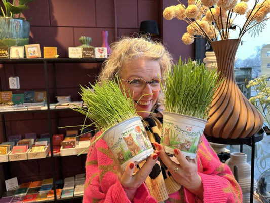 Welke planten zijn giftig voor katten?