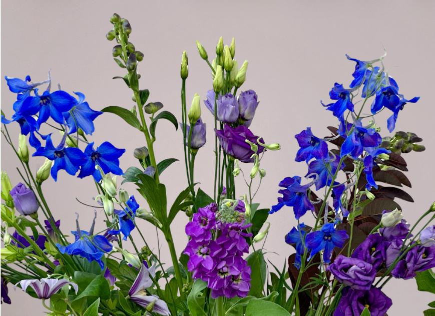 7 tips om je bloemen langer vers te houden