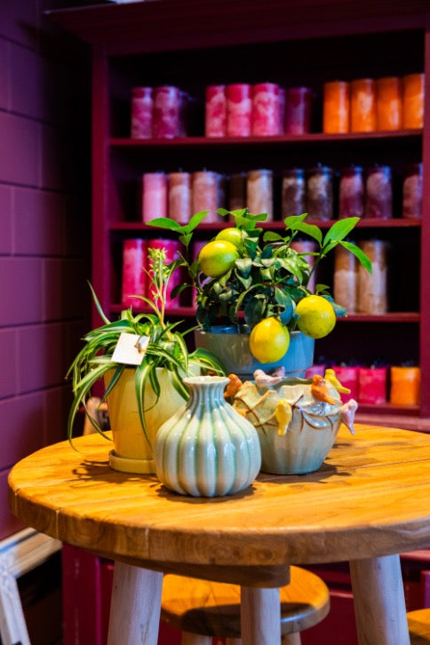 Vazen Voor Elk Interieur bij Anja Bloementrends