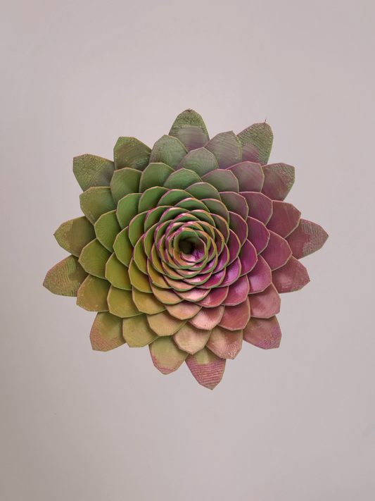 3D wandbloem dahlia groen roze goud – frisse 3D wanddecoratie bloem