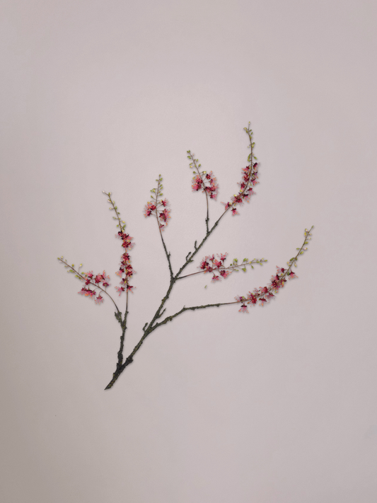 Silk-ka Capparis Tak Bordeaux