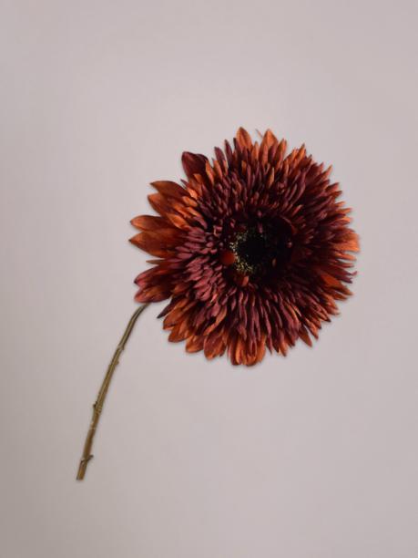 Silk-ka Gerbera Tak Bruin