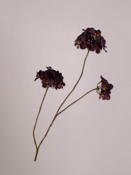 Silk-ka Hortensia Tak Bordeaux