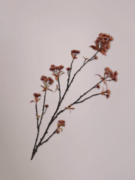 Silk-ka Kastanje Tak Rood/Bruin