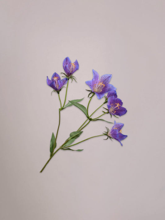 Elegante Campanula kunsttak paars van 62 cm van Silk-ka. Levensechte zijde bloemen, onderhoudsvrij en perfect voor een stijlvol interieur.