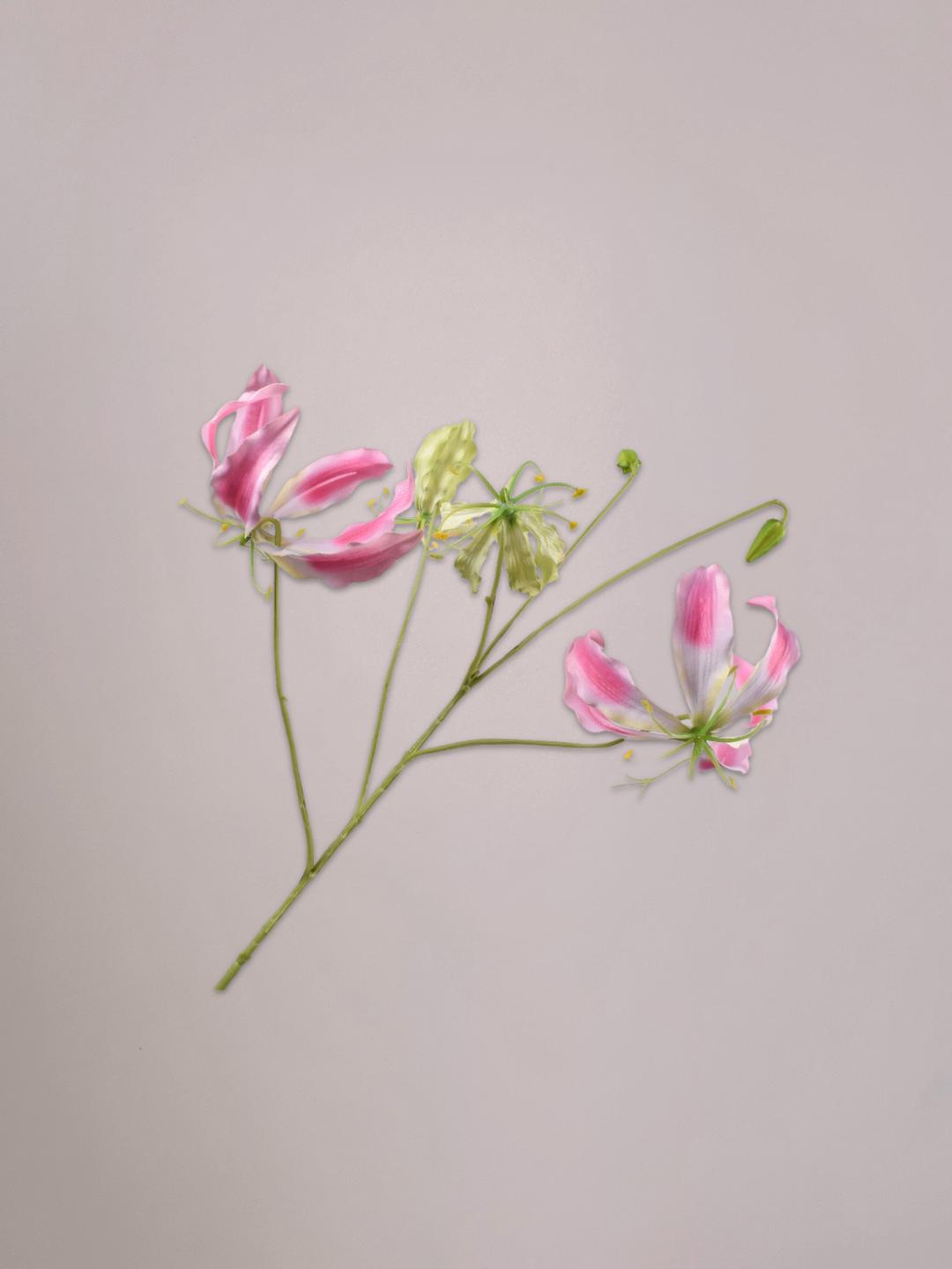 Roze gloriosa kunsttak van 89 cm van Silk-ka met sierlijke bloemblaadjes en groene steel in een vaas