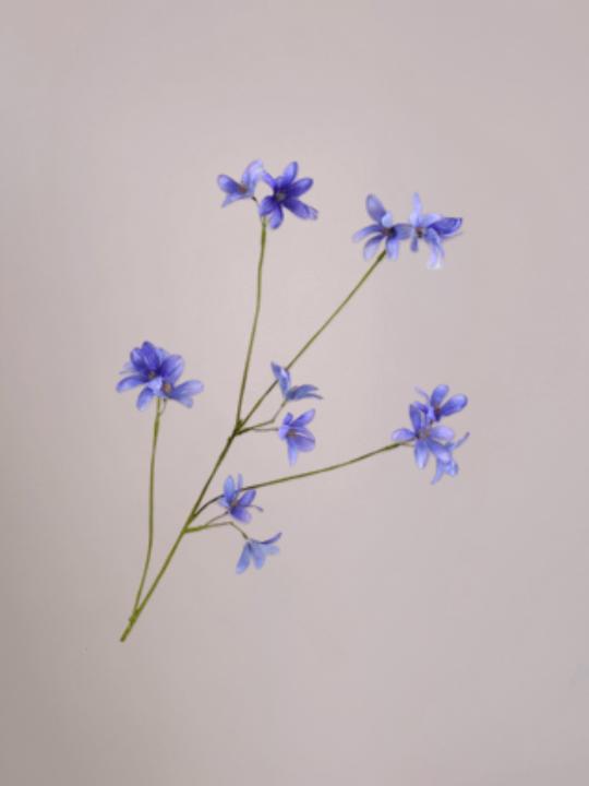 Zijde Hyacint tak blauw van 79 cm met levensechte blauwe bloemen voor een stijlvol interieur.