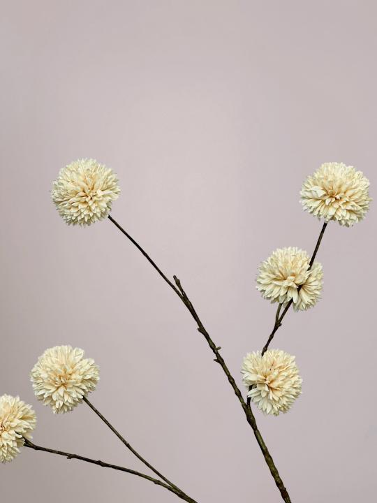 PomPom kunsttak crème van 110 cm met volle bolvormige bloemen en lange stevige steel