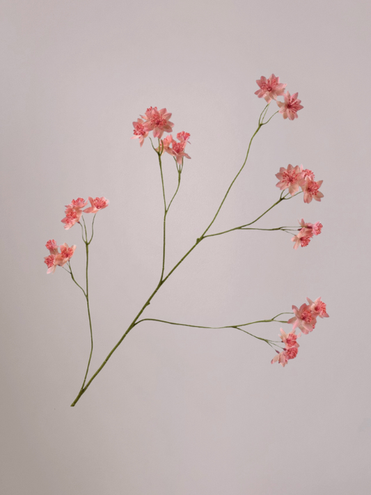 Astrantia tak roze van Silk-ka, 95 cm, realistische zijden bloemen voor een fris en sfeervol interieur