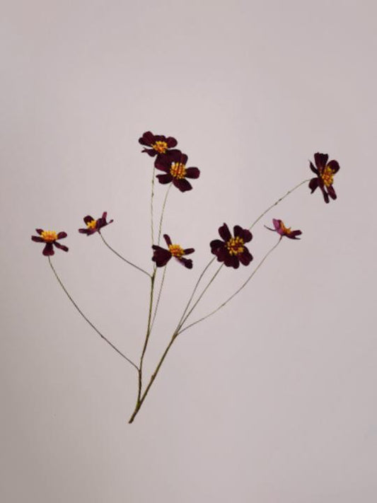 Silk-ka Cosmos tak paars 100 cm met elegante bloemen voor een stijlvol boeket of vaasdecoratie.