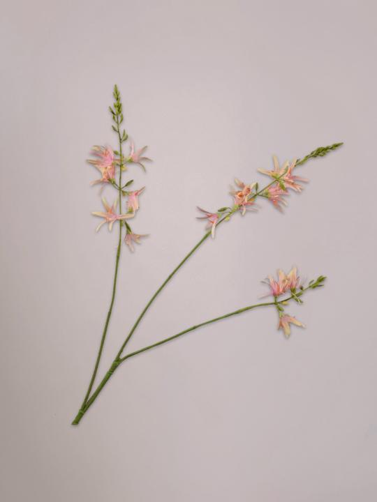 Crocosmia kunsttak roze groen 95 cm van Silk-ka met sierlijke bloemen