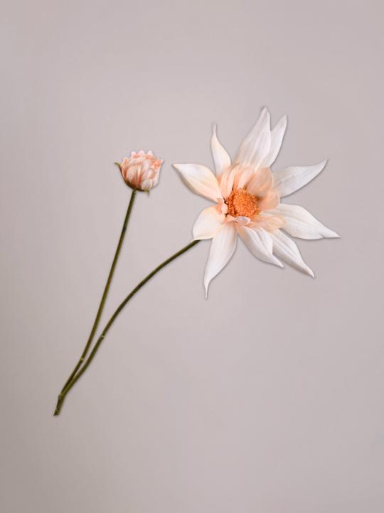 Silk-ka Dahlia Tak zalm van 90 cm als levensechte dahlia kunstbloem van zijde in een stijlvolle vaas.