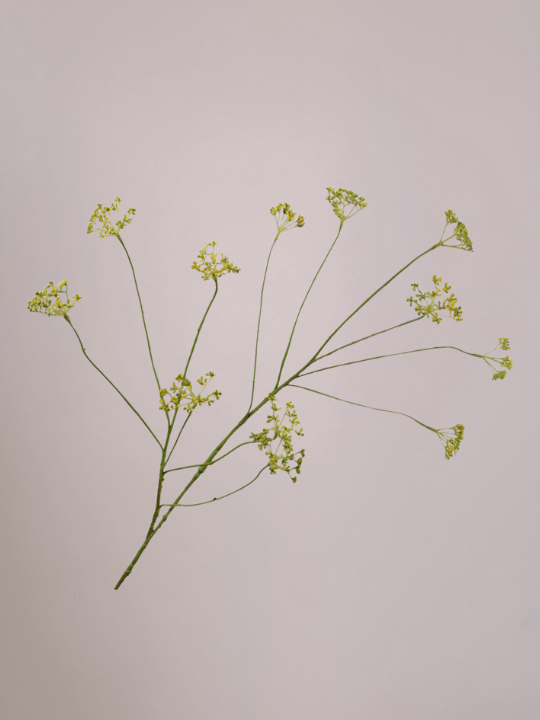 Kunst dille tak geel 96 cm van Silk-ka met luchtige gele bloemtopjes en fijne groene bladeren