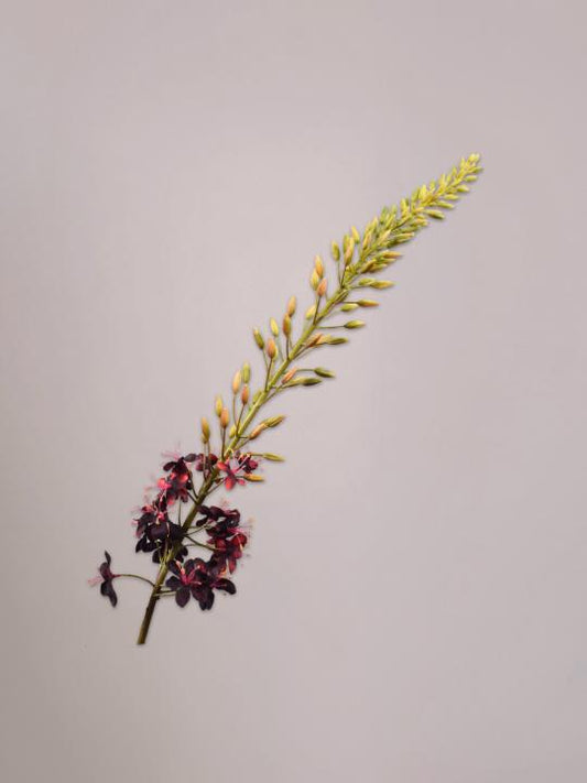 Silk-ka Eremurus Steel bordeaux van 107 cm als levensechte kunsttak van zijde in een hoge vaas.