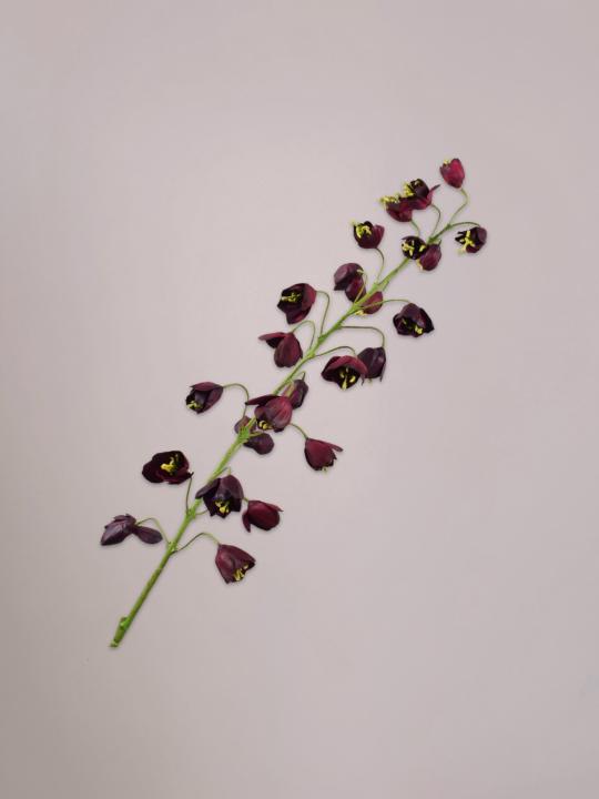 Silk-ka Fritillaria Tak bordeaux van 111 cm als levensechte zijden kunsttak met bordeaux bloemen in een stijlvolle vaas.