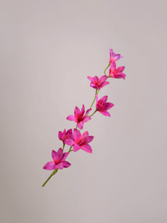 Silk-ka Gladiool kunsttak Beauty 94 cm met elegante bloemen en lange steel