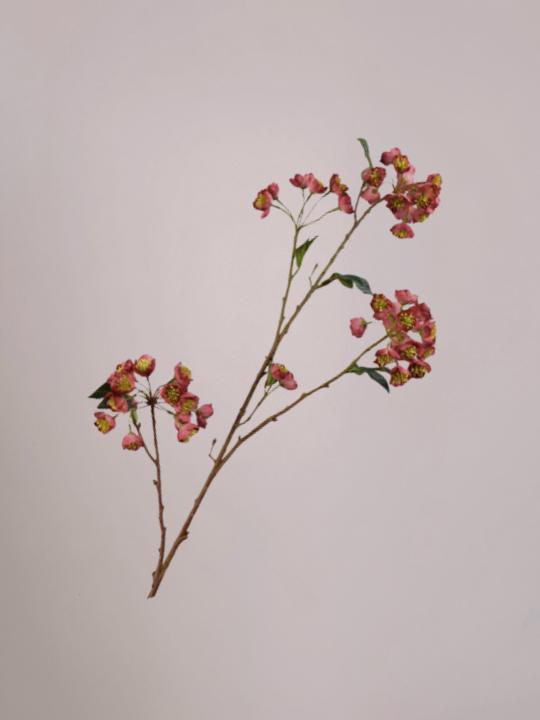 Silk-ka Helleborus tak roze 100 cm met levensechte bloemen voor een romantisch en stijlvol boeket.