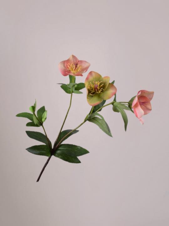 Silk-ka Helleborus tak roze en groen 64 cm met levensechte bloemen voor een fris en elegant boeket.