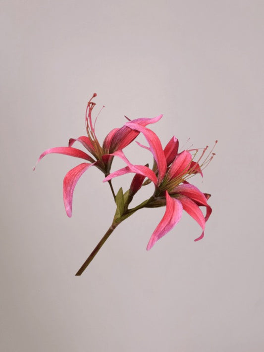 Silk-ka Amaryllis Roze 80 cm op steel, realistische zijden bloem voor elegante decoratie voor lichtroze achtergrond.