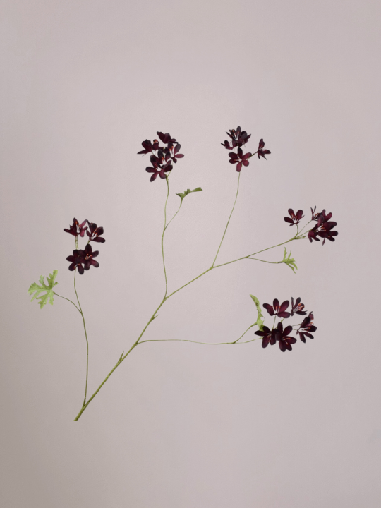 Detail van kunst geranium tak bordeaux met realistische bladeren en bloemtoppen