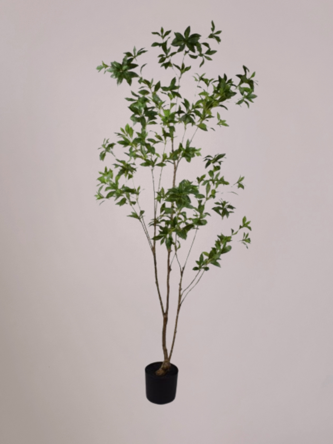 Levensechte Silk-ka Kunst Vijgenboom van 122 cm, onderhoudsvriendelijk en stijlvol. Perfect voor woonkamers, kantoren en andere interieurhoekjes. Verkrijgbaar bij Anja Bloementrends.