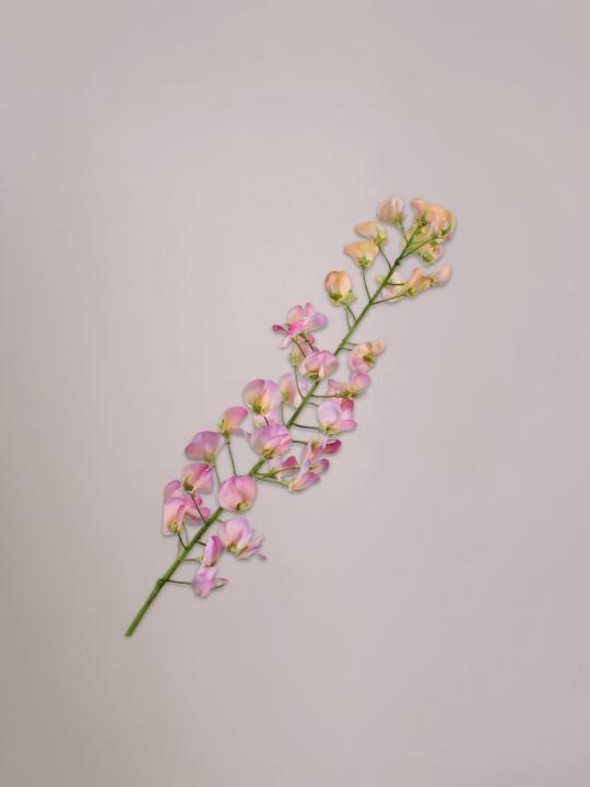 Lathyrus kunststeel oranje roze 86 cm van Silk-ka met sierlijke bloemen