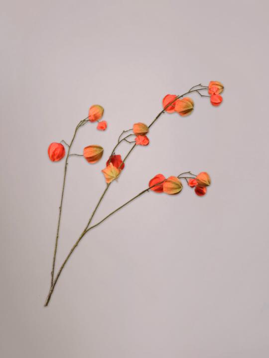 Silk-ka Physalis Tak oranje/groen van 92 cm als levensechte zijden kunsttak met oranje physalis vruchten in een vaas.