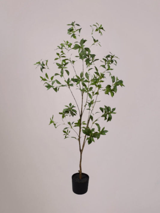 Levensechte Silk-ka Pittosporum kunstboom binnen groot, 150 cm hoog, met realistisch blad en stevige pot. Onderhoudsvrije grote kunstboom, verkrijgbaar bij Anja Bloementrends.