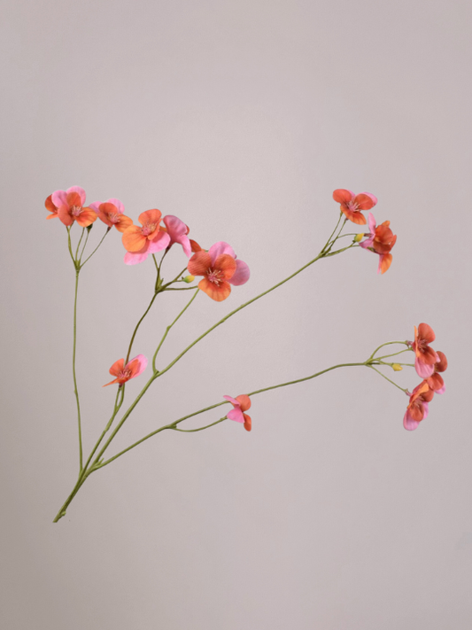 Silk-ka viool tak roze-oranje met zijden viooltjes, natuurlijk en sfeervol