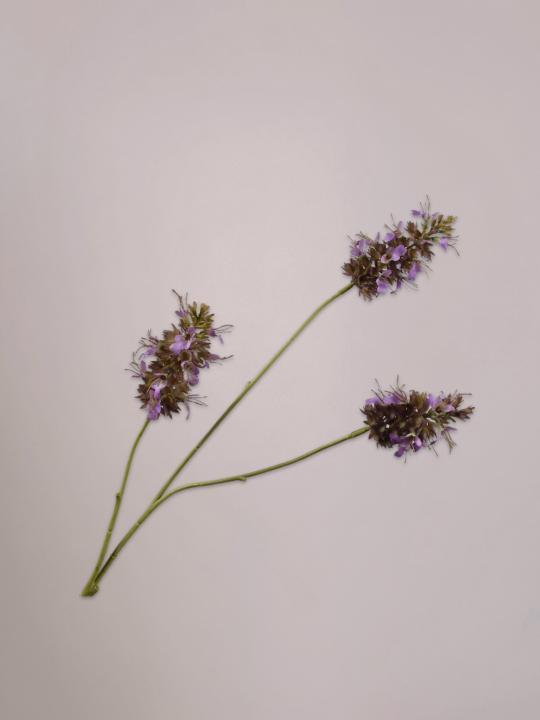 Salvia kunsttak lavendel 74 cm van Silk-ka met fijne bloemen