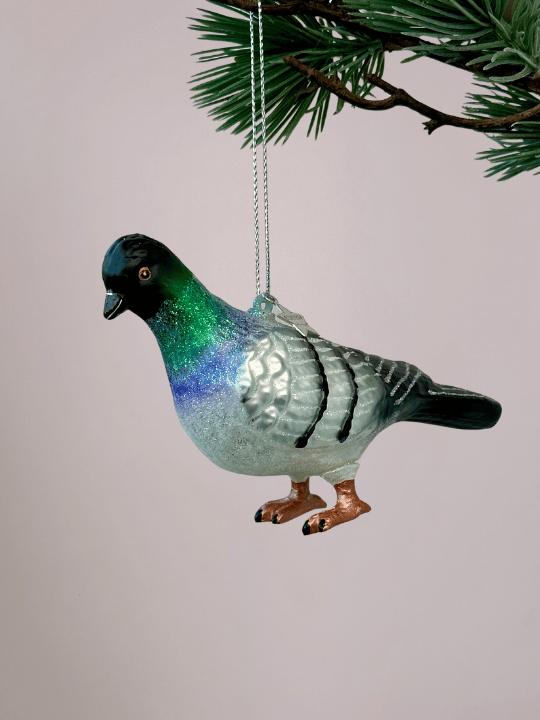 Close-up van Vondels kerstbal stadsduif met grijs, wit, zwart, groen en blauw in de nek en oranje poten op lichtroze achtergrond.