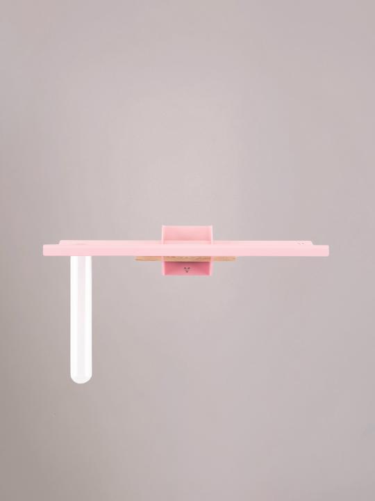 Lichtroze wandplank met bloem van Studio Mippe met reageerbuisje, perfect voor bloemen aan de muur.