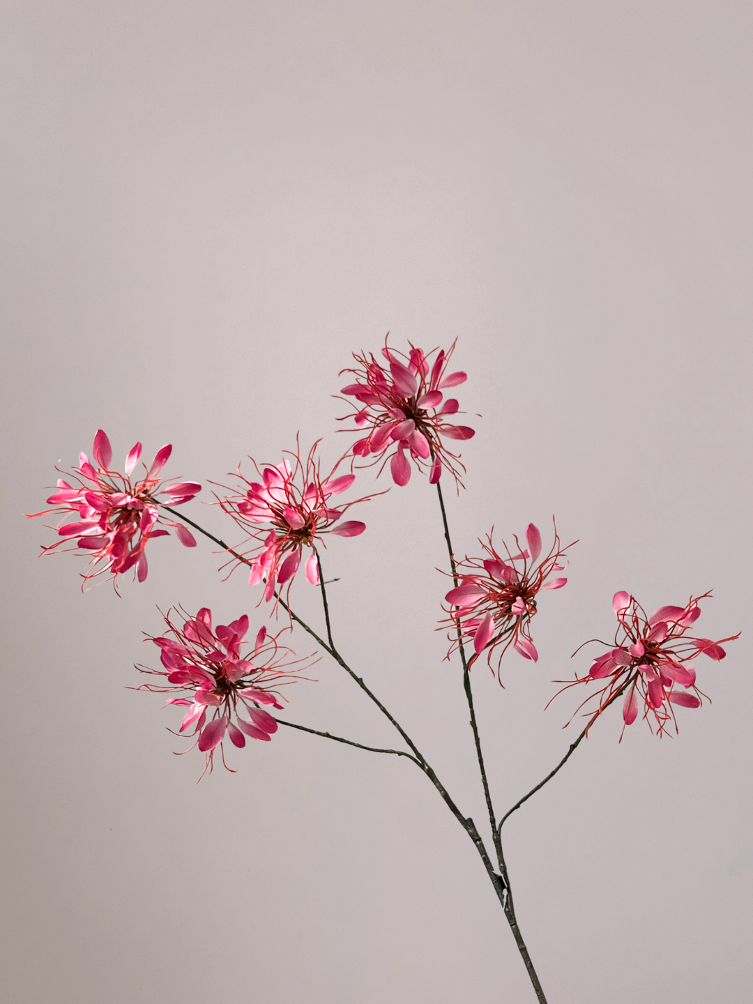 Zijde Lycoris Tak Roze