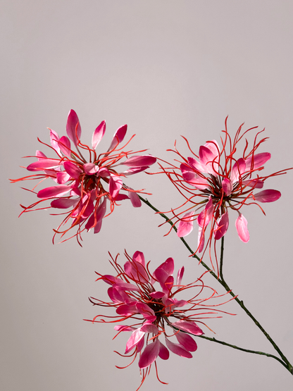Zijde Lycoris Tak Roze