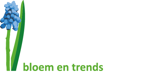 Anja Bloem en Trends